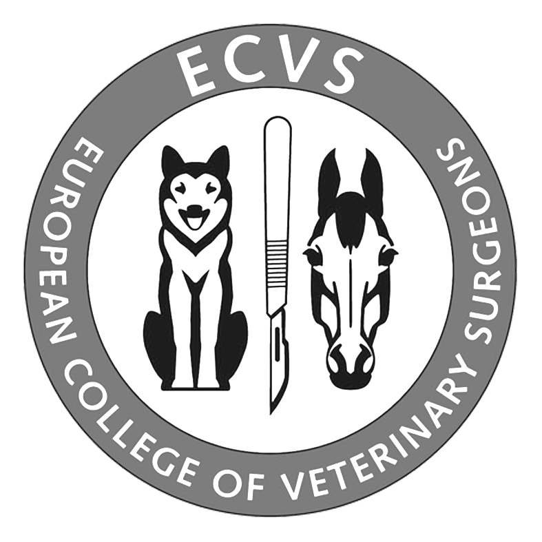 logo ecvs 1